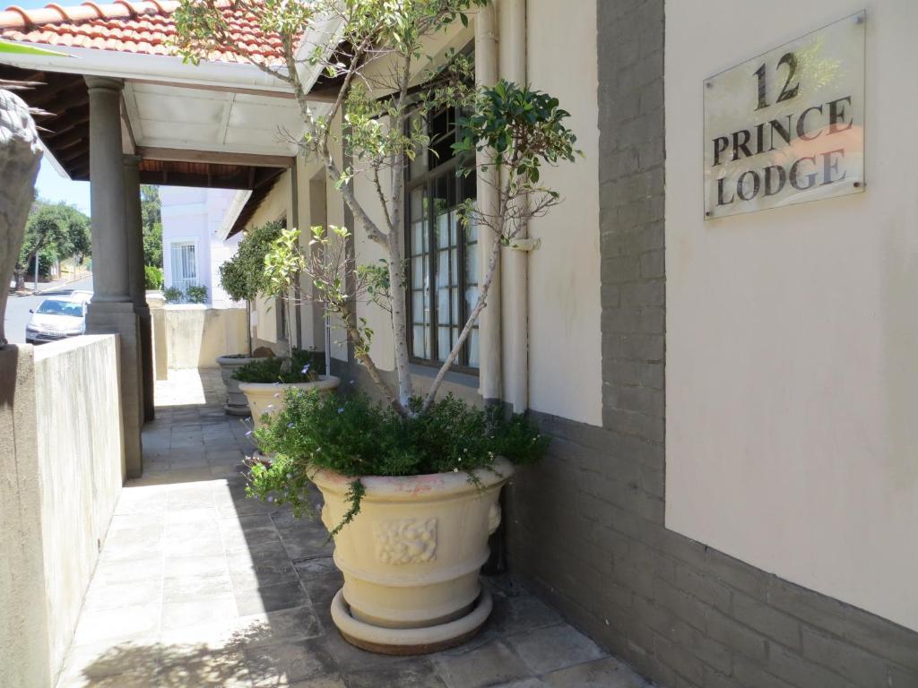 קייפטאון Prince Lodge מראה חיצוני תמונה